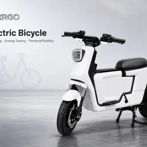Electric Bicycles